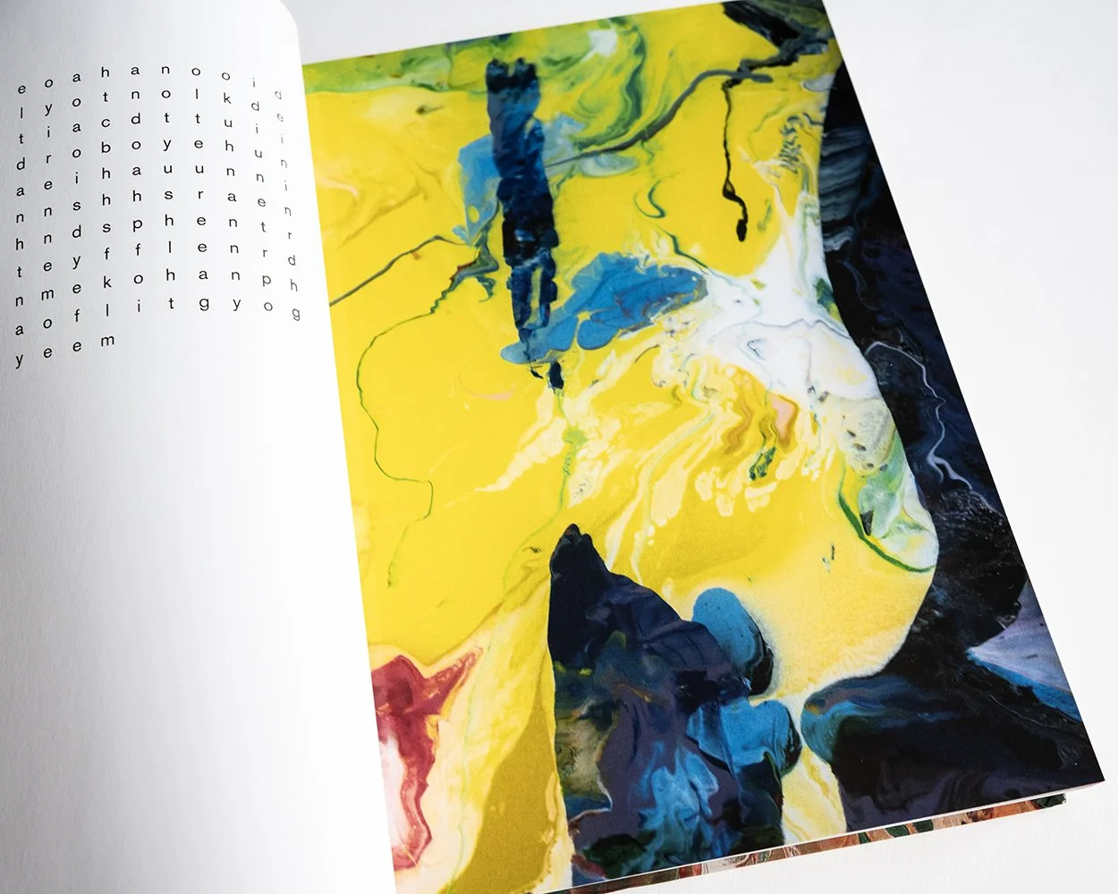 Ararki Photobook Mania by Araki Nobuyoshi — bookdummypress